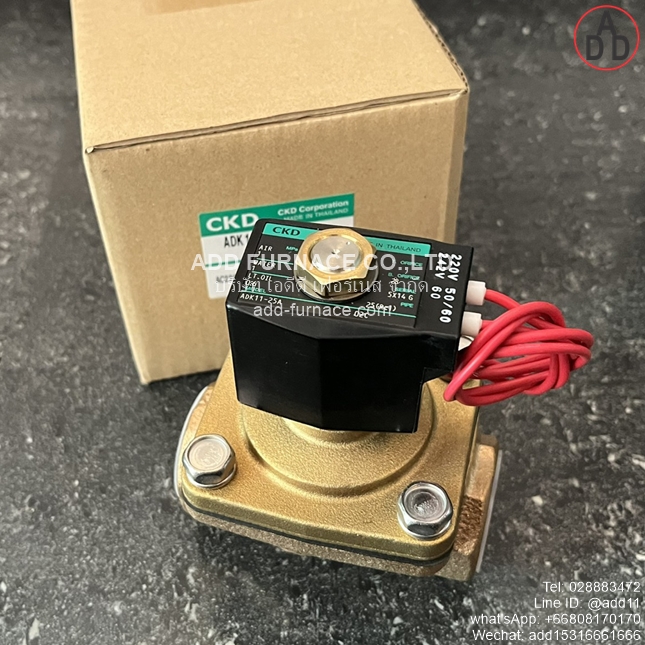 ADK11-25A-02C-AC220V (3) 